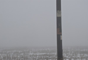 Winchell-Mtn.-fog